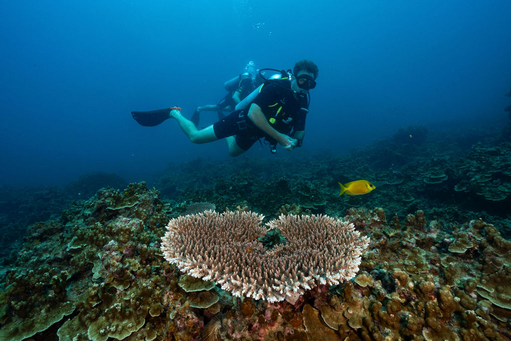White Rock Dive Site