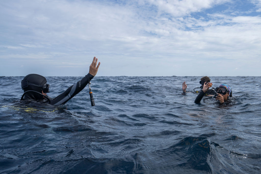 Continued Diving Education