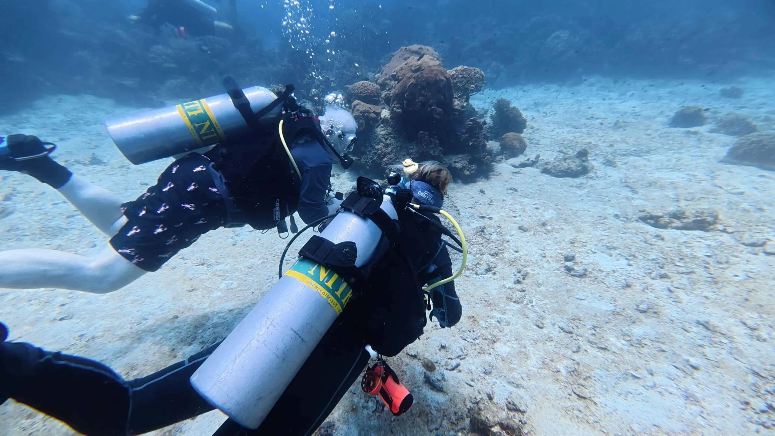 nitrox-diving-training-koh-tao-underwater