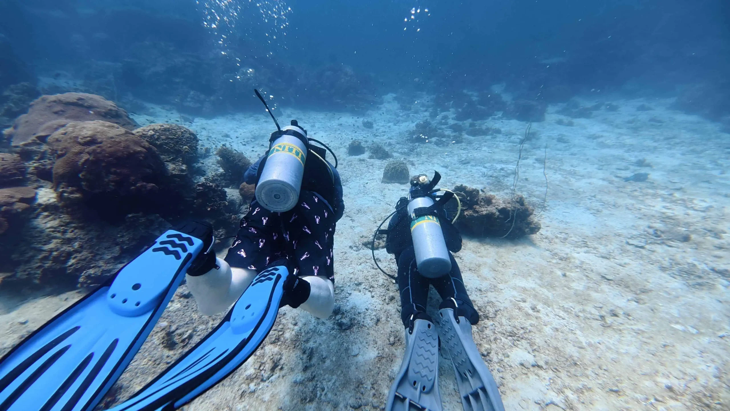 scuba-divers-nitrox-course-underwater-koh-tao